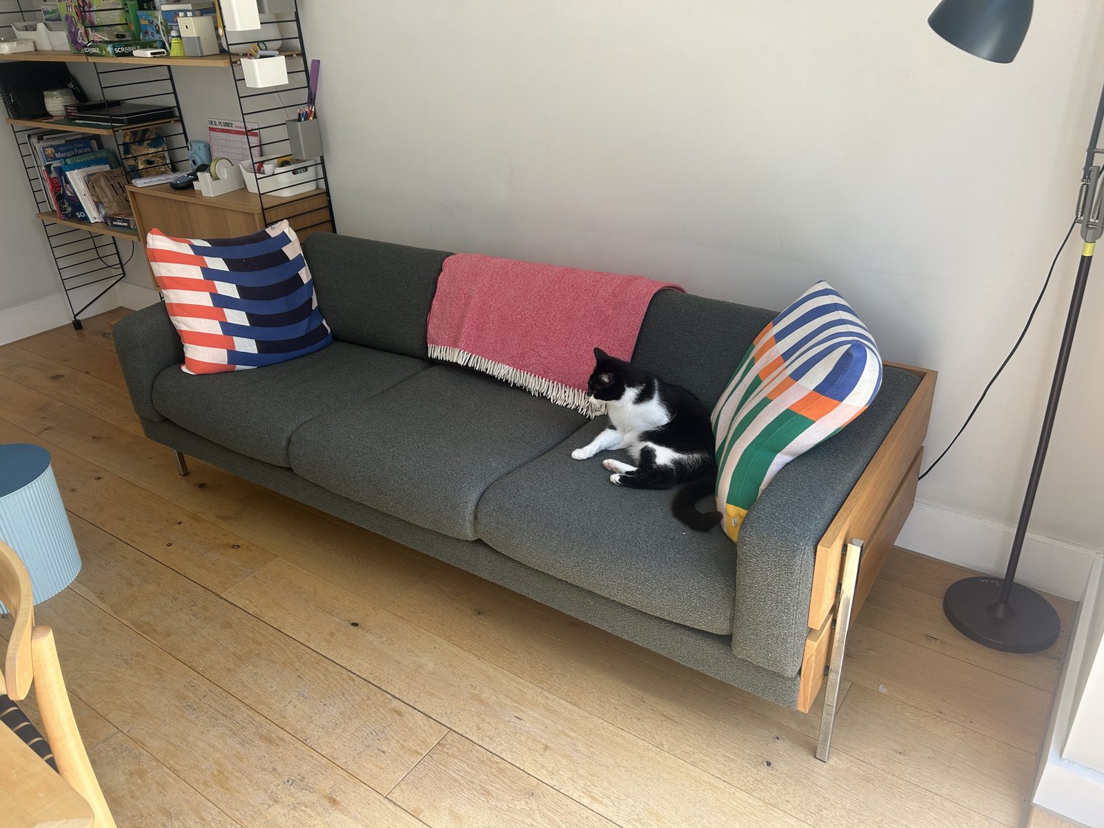 Robin Day Forum sofa in green wool